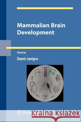 Mammalian Brain Development  9781617796487 Springer, Berlin - książka