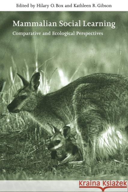 Mammalian Social Learning: Comparative and Ecological Perspectives Box, Hilary O. 9780521031950 Cambridge University Press - książka
