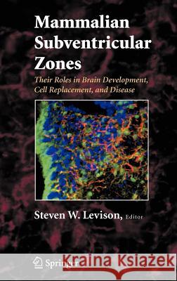 Mammalian Subventricular Zones: Their Roles in Brain Development, Cell Replacement, and Disease Levison, Steve 9780387260679 Springer - książka