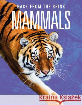 Mammals: Back from the Brink Joanne Mattern 9781644668313 Black Rabbit Books - książka