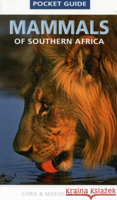 Mammals of Southern Africa Stuart, Chris 9781770078611  - książka