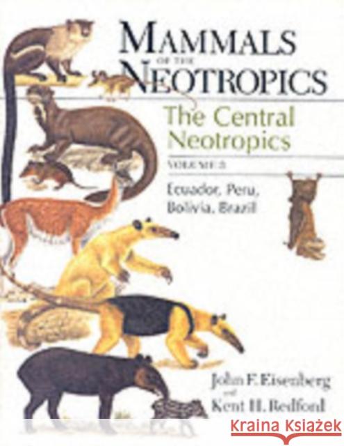 Mammals of the Neotropics, Volume 3: Ecuador, Bolivia, Brazil Eisenberg, John F. 9780226195421 University of Chicago Press - książka