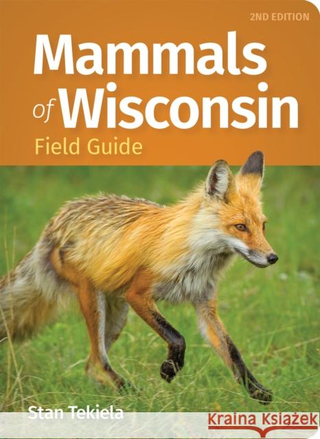 Mammals of Wisconsin Field Guide Stan Tekiela 9781647555191 Adventure Publications - książka