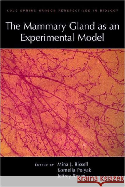 Mammary Gland as an Experimental Model Bissell, Mina 9780879699062 Cold Spring Harbor Laboratory Press - książka