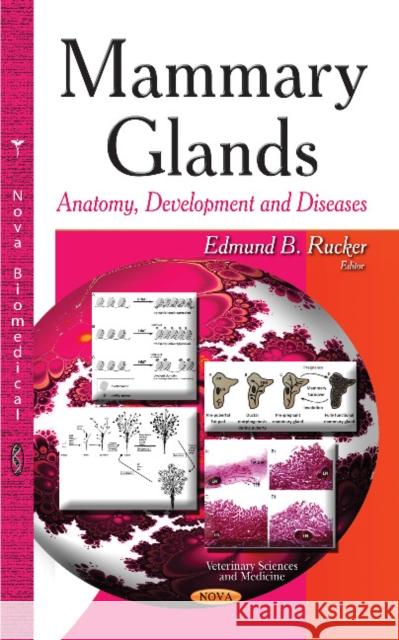 Mammary Glands: Anatomy, Development & Diseases Edmund B Rucker 9781629488530 Nova Science Publishers Inc - książka