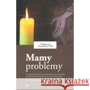 Mamy problemy Borkowska Małgorzata 9788373549982 Tyniec - książka