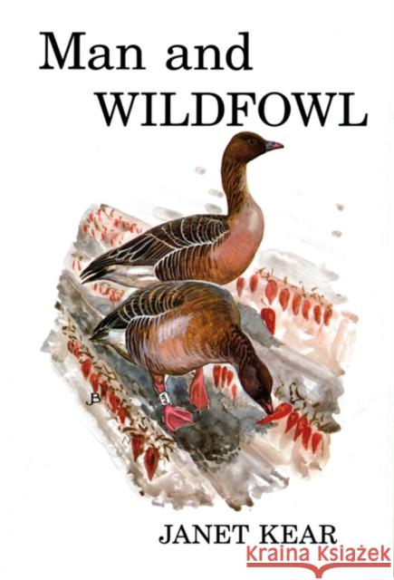 Man and Wildfowl Janet Kear 9781408137628 Bloomsbury Publishing PLC - książka