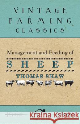 Management and Feeding of Sheep Thomas Shaw 9781447466697 Beston Press - książka