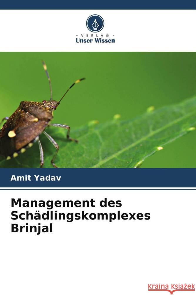 Management des Sch?dlingskomplexes Brinjal Amit Yadav 9786207139040 Verlag Unser Wissen - książka