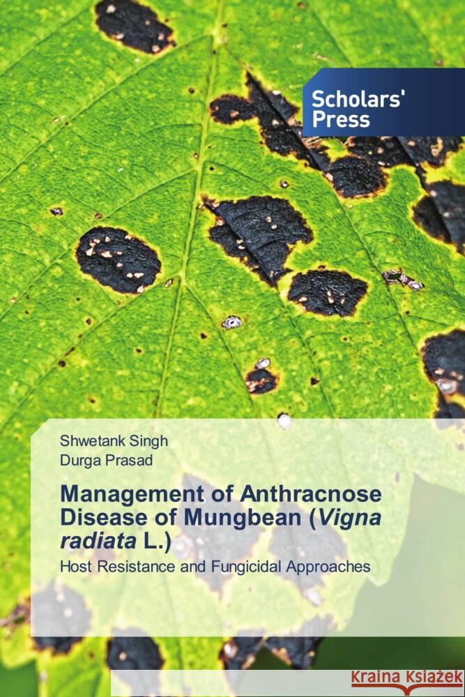 Management of Anthracnose Disease of Mungbean (Vigna radiata L.) Singh, Shwetank, Prasad, Durga 9786138824473 Scholars' Press - książka