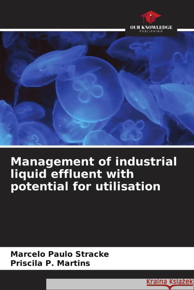 Management of industrial liquid effluent with potential for utilisation Marcelo Paulo Stracke Priscila P 9786208095161 Our Knowledge Publishing - książka