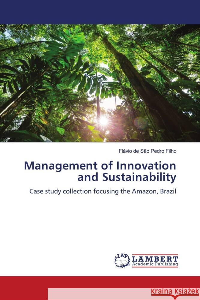 Management of Innovation and Sustainability São Pedro Filho, Flávio de 9786206156772 LAP Lambert Academic Publishing - książka