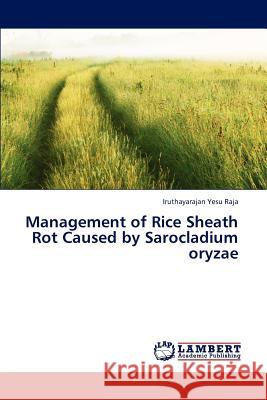 Management of Rice Sheath Rot Caused by Sarocladium oryzae Yesu Raja Iruthayarajan 9783659315145 LAP Lambert Academic Publishing - książka