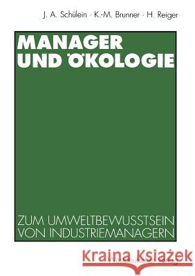 Manager Und Ökologie: Eine Qualitative Studie Zum Umweltbewußtsein Von Industriemanagern Schülein, Johann August 9783531126074 Vs Verlag Fur Sozialwissenschaften - książka