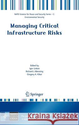 Managing Critical Infrastructure Risks Richard J. Wenning Gregory A. Kiker 9781402063831 Springer - książka