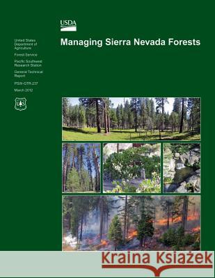 Managing Sierra Nevada Forests U. S. Department of Agriculture 9781507527474 Createspace - książka