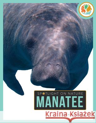 Manatee Lisa M. Bolt Simons 9781682777916 Creative Paperbacks - książka