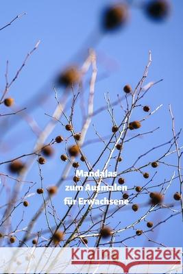 Mandalas zum Ausmalen für Erwachsene: Senken Sie Ihren Stresspegel durch das Malen Schreiber, Books 9781689000628 Independently Published - książka