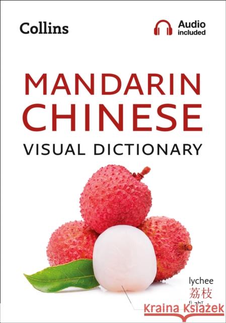 Mandarin Chinese Visual Dictionary: A Photo Guide to Everyday Words and Phrases in Mandarin Chinese Collins Dictionaries 9780008290368 HarperCollins Publishers - książka