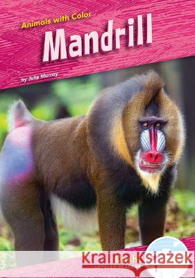 Mandrill Julie Murray 9781098281168 Dash! - książka