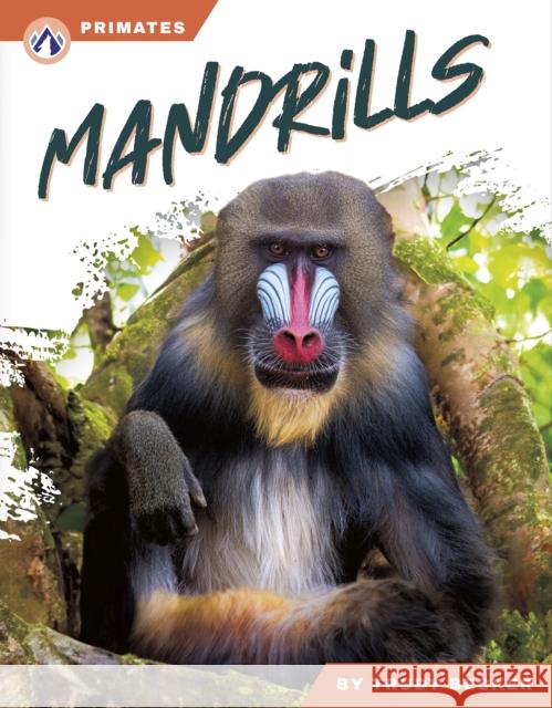 Mandrills Trudy Becker 9798892507974 Apex - książka