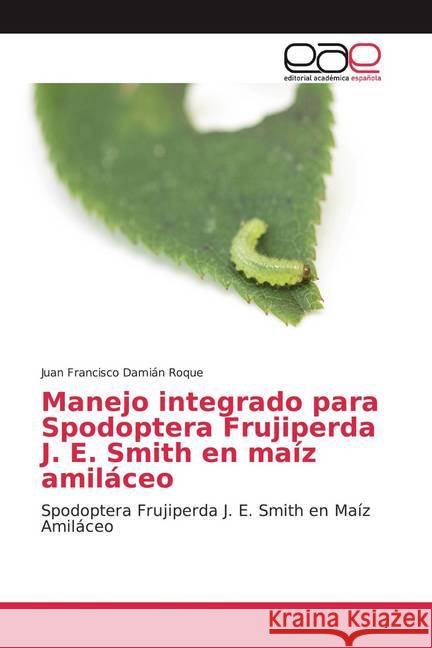 Manejo integrado para Spodoptera Frujiperda J. E. Smith en maíz amiláceo : Spodoptera Frujiperda J. E. Smith en Maíz Amiláceo Damián Roque, Juan Francisco 9786200054630 Editorial Académica Española - książka