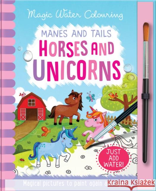 Manes and Tails - Horses and Unicorns Jenny Copper Rachael McLean  9781787009585 Imagine That Publishing Ltd - książka