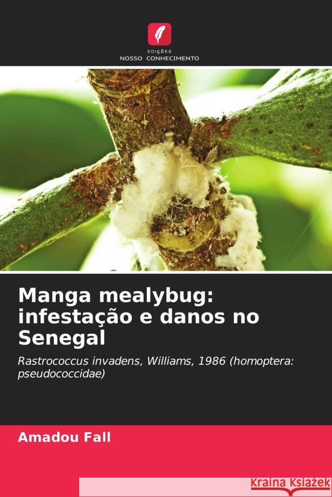 Manga mealybug: infestação e danos no Senegal Fall, Amadou, Toure, Mamour, Ndiaye, Mady 9786204413402 Edições Nosso Conhecimento - książka