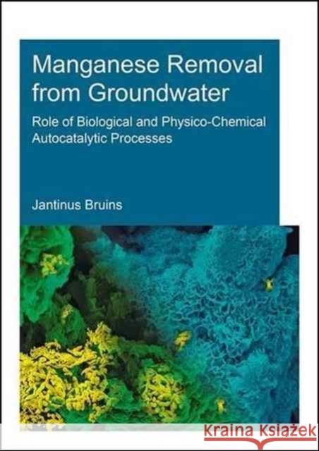 Manganese Removal from Groundwater: Role of Biological and Physico-Chemical Autocatalytic Processes J. H. Bruins 9781138030022 CRC Press - książka