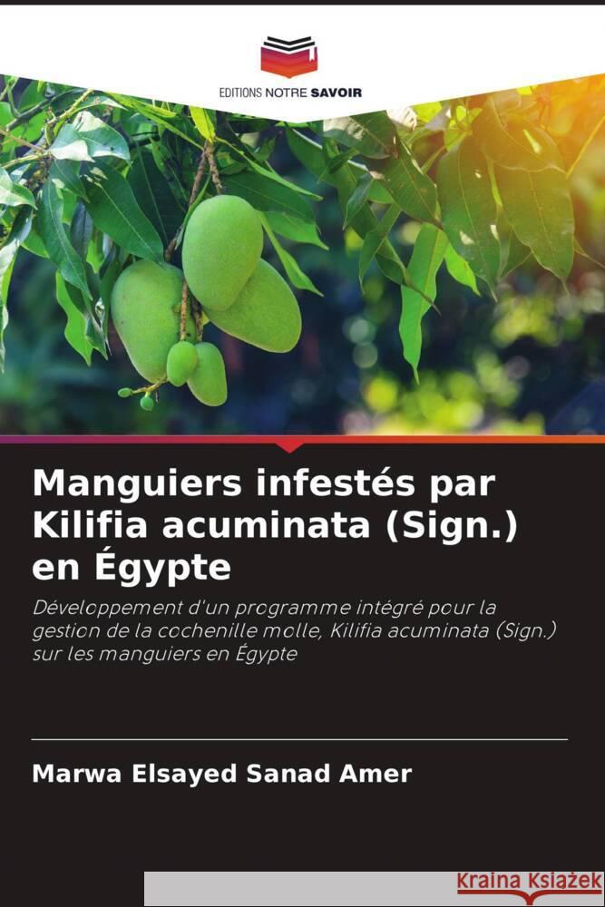 Manguiers infestés par Kilifia acuminata (Sign.) en Égypte Sanad Amer, Marwa Elsayed 9786205460351 Editions Notre Savoir - książka