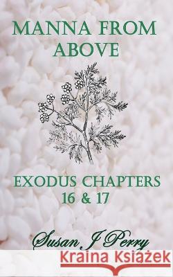 Manna From Above: Exodus Chapters 16 & 17 Susan J Perry 9798843172664 Independently Published - książka