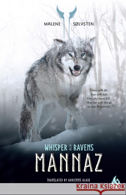 Mannaz Malene Solvsten 9781646900282 Arctis - książka