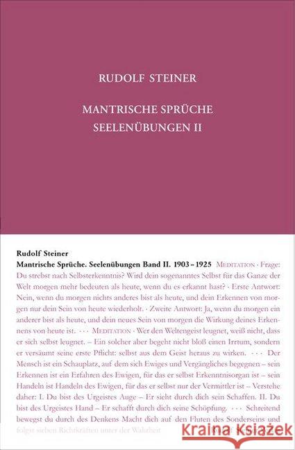 Mantrische Sprüche : 1903-1925 Steiner, Rudolf; Steiner, Rudolf 9783727426810 Rudolf Steiner Verlag - książka