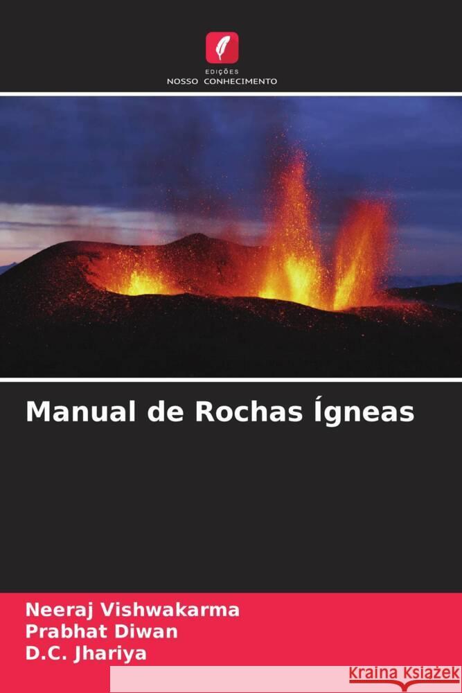 Manual de Rochas ?gneas Neeraj Vishwakarma Prabhat Diwan D. C. Jhariya 9786208069742 Edicoes Nosso Conhecimento - książka