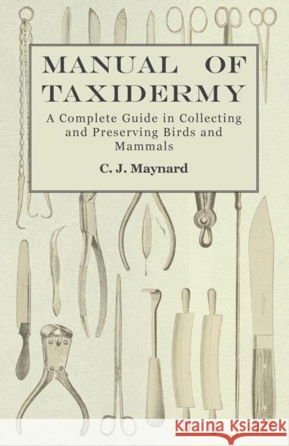 Manual of Taxidermy - A Complete Guide in Collecting and Preserving Birds and Mammals C J Maynard 9781473324473 Read Books - książka