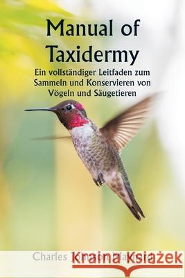 Manual of Taxidermy Ein vollst?ndiger Leitfaden zum Sammeln und Konservieren von V?geln und S?ugetieren Charles Johnson Maynard 9789359253480 Writat - książka