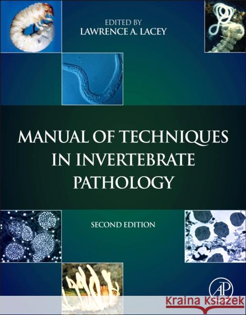 Manual of Techniques in Invertebrate Pathology Lawrence Lacey 9780123868992  - książka