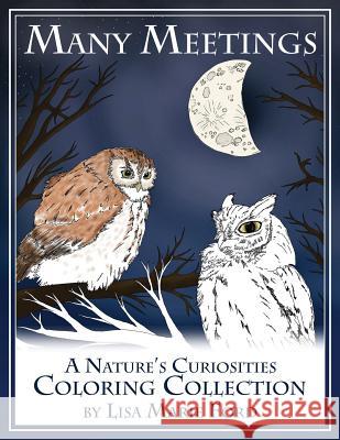 Many Meetings: A Nature's Curiosities Coloring Collection Lisa Marie Ford 9781540565730 Createspace Independent Publishing Platform - książka