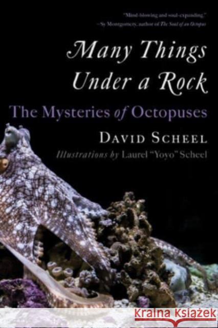 Many Things Under a Rock - The Mysteries of Octopuses  9781324076292  - książka