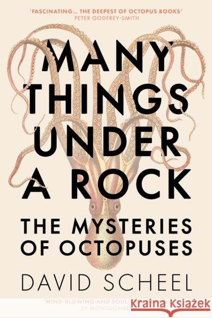 Many Things Under a Rock: The Mysteries of Octopuses David Scheel 9781529392609 Hodder & Stoughton - książka