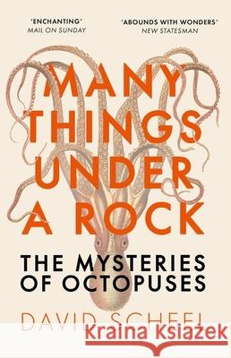 Many Things Under a Rock: The Mysteries of Octopuses David Scheel 9781529392647 Hodder & Stoughton - książka