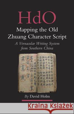 Mapping the Old Zhuang Character Script: A Vernacular Writing System from Southern China David Holm 9789004223691 Brill - książka