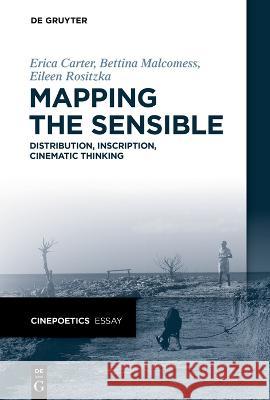 Mapping the Sensible Carter Malcomess Rositzka, Erica Bett 9783110768985 de Gruyter - książka