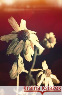 Margaritas muertas Victoria Roch 9798365416246 Independently Published - książka