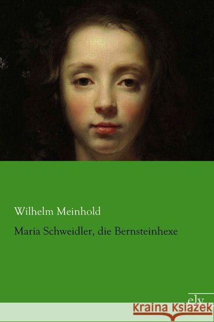 Maria Schweidler, die Bernsteinhexe Meinhold, Wilhelm 9783862679850 Europäischer Literaturverlag - książka