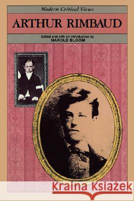 Marianne Moore Camille-Yvette Welsch Camille-Yvette Weisch Harold Bloom 9780791078907 Chelsea House Publications - książka