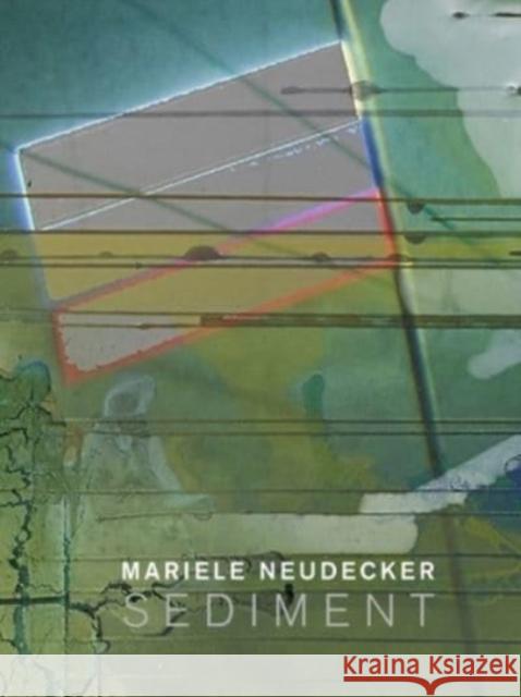 Mariele Neudecker - Sediment Mariele Neudecker Greer Crawley  9781910221327 Anomie Publishing - książka