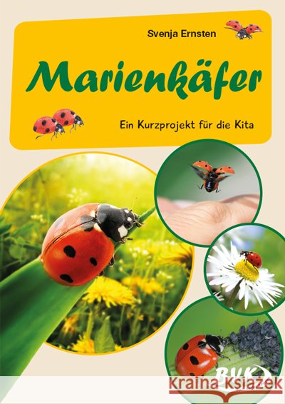 Marienkäfer Ernsten, Svenja 9783965201682 BVK Buch Verlag Kempen - książka