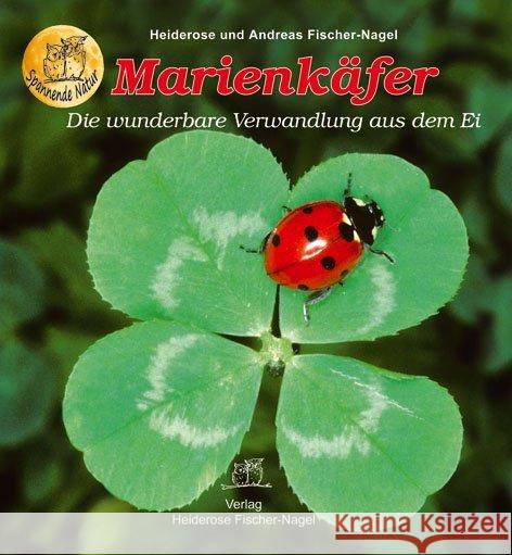 Marienkäfer : Die wunderbare Verwandlung aus dem Ei Fischer-Nagel, Heiderose; Fischer-Nagel Andreas 9783930038459 Fischer-Nagel - książka