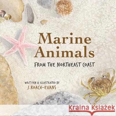 Marine Animals: from the Northeast Coast Erin M. Oliveira J. Roach -Evans 9781734153200 Pickerel Publishing - książka